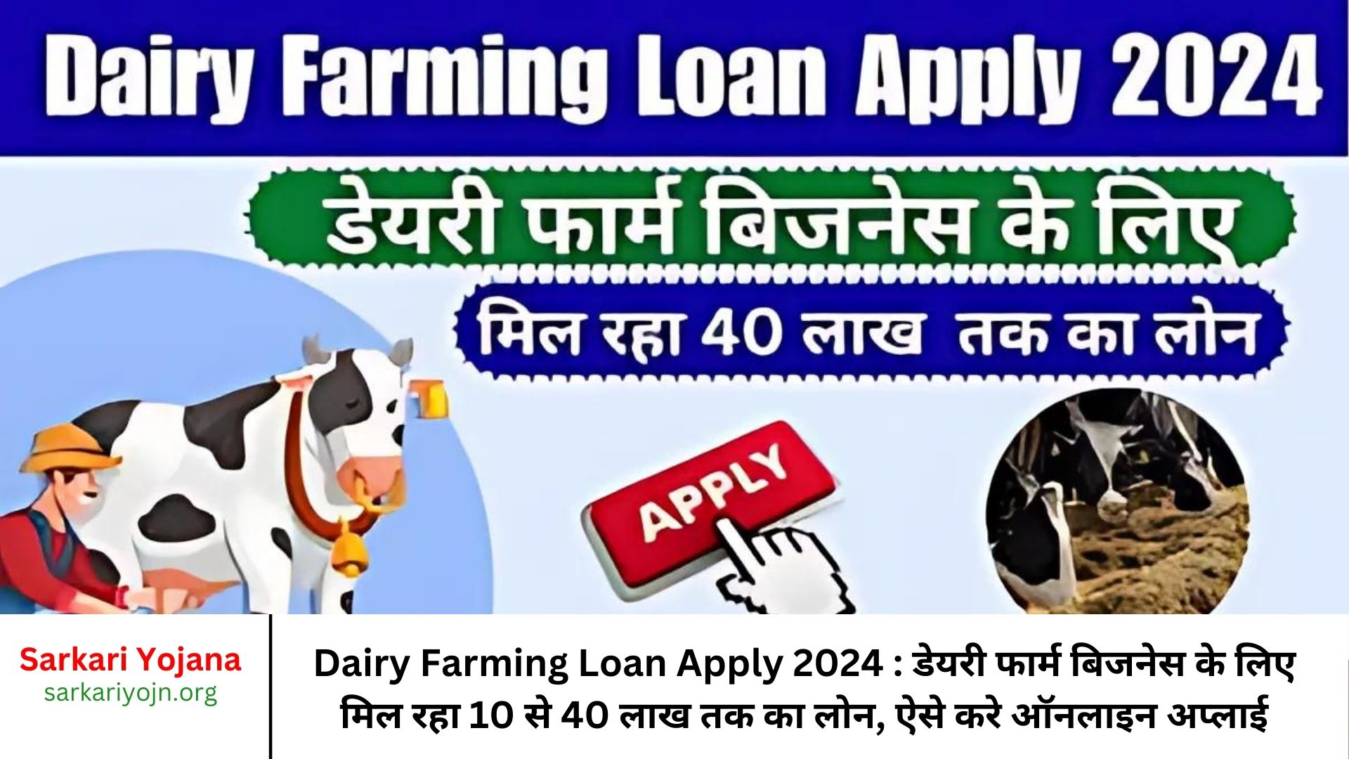 Dairy Farming Loan Apply 2024 डेयरी फार्म बिजनेस के लिए मिल रहा 10 से 40 लाख तक का लोन, ऐसे करे ऑनलाइन अप्लाई