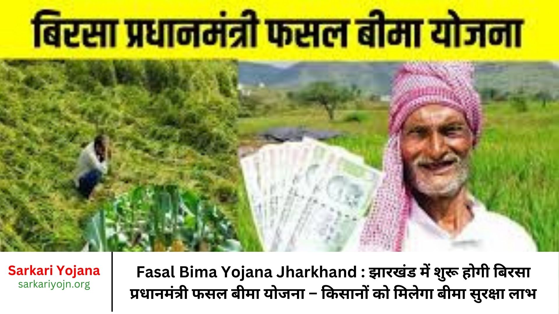 Fasal Bima Yojana Jharkhand : झारखंड में शुरू होगी बिरसा प्रधानमंत्री फसल बीमा योजना – किसानों को मिलेगा बीमा सुरक्षा लाभ